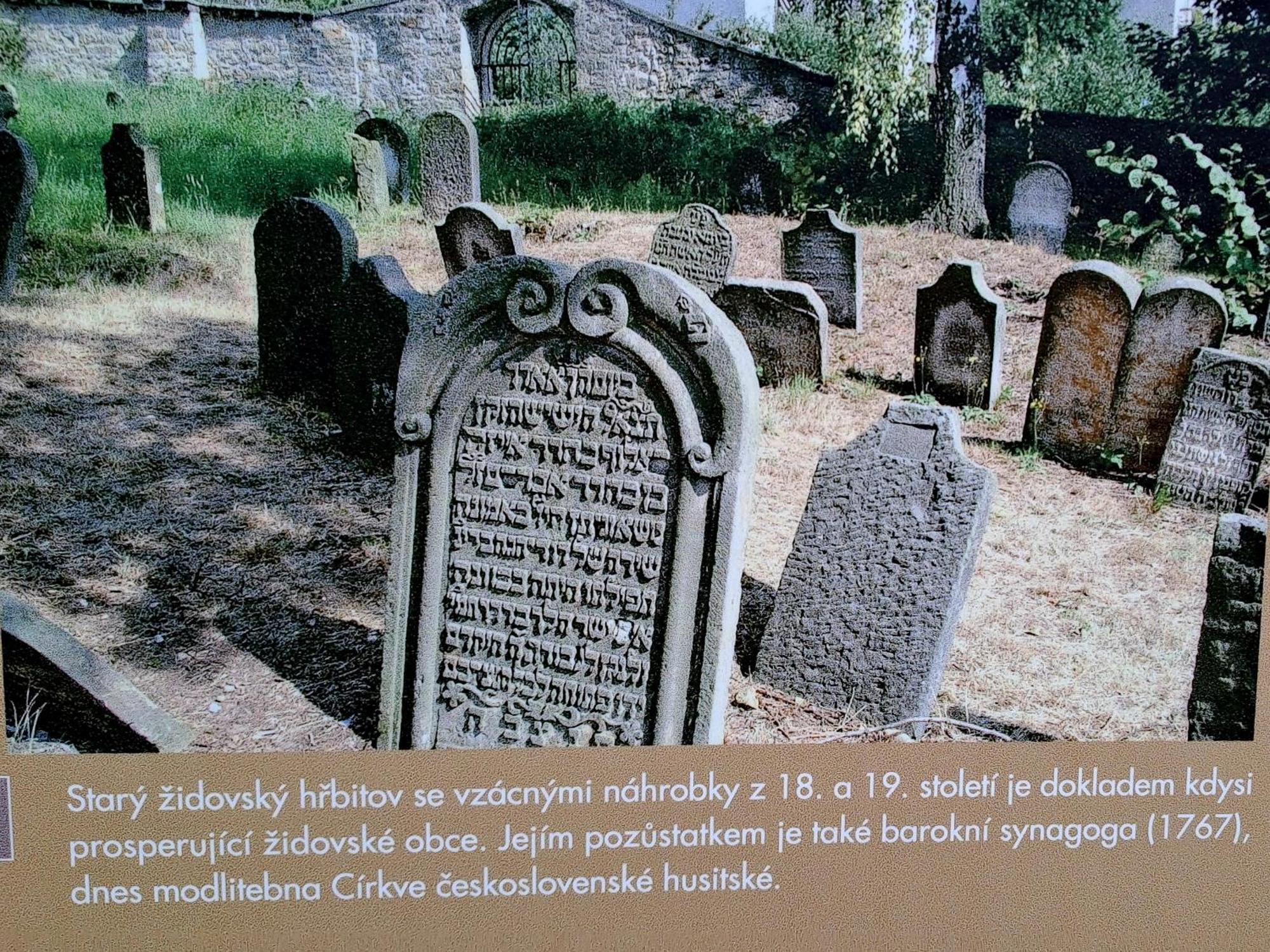 Vichova Vila_1935 - Funkcionalisticky Skvost V Horicich V Podkrkonosi Apartmán